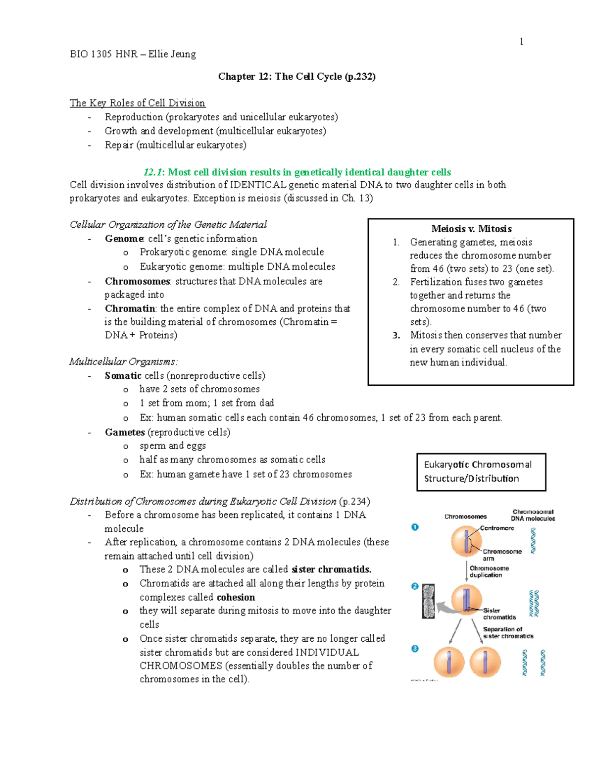 BIO Ch. 12 TXB Notes - 1 BIO 1305 HNR – Ellie Jeung Chapter 12: The ...