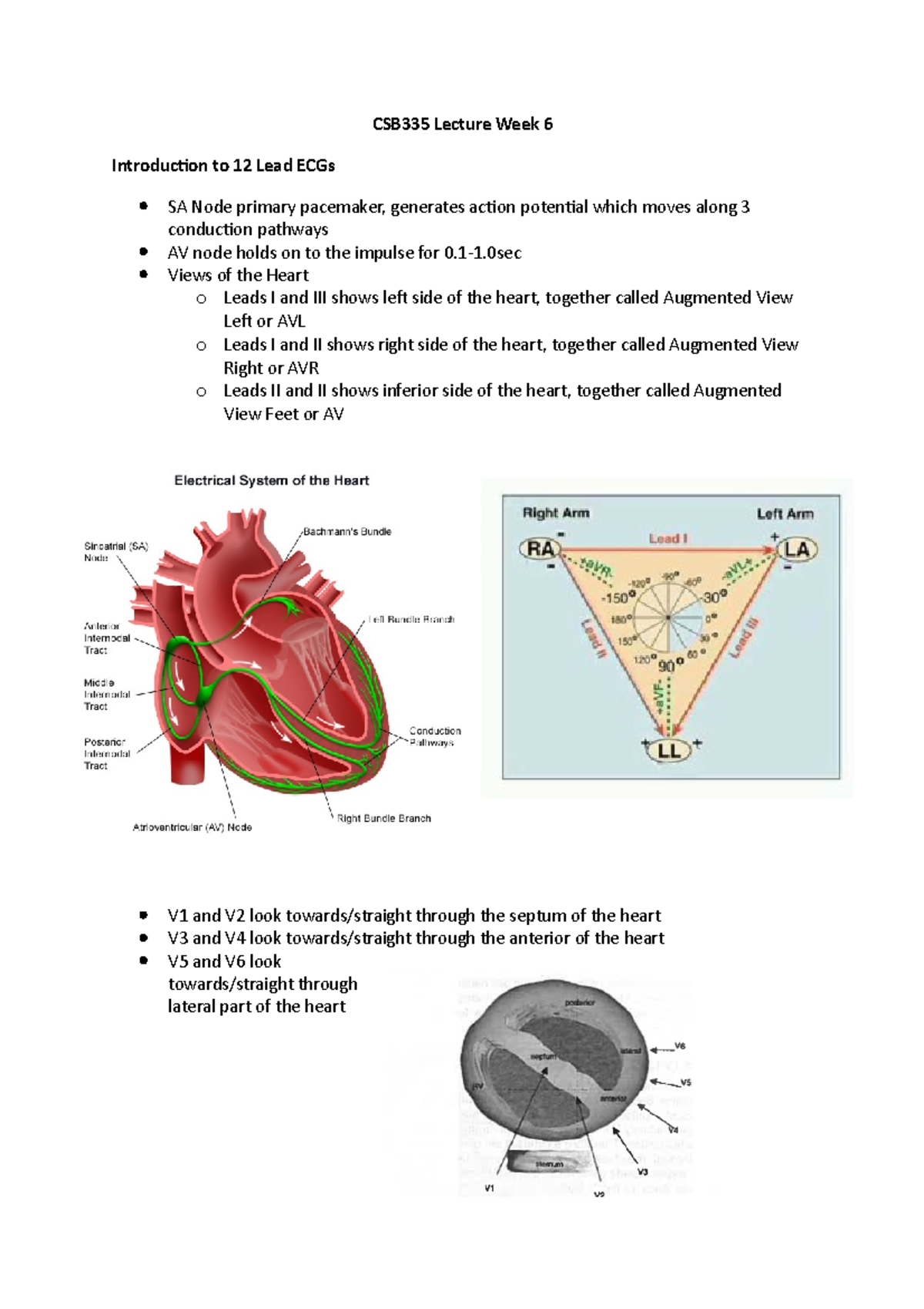 CSB335 - Introduction to 12 lead ECG - CSB335 Lecture Week 6 ...