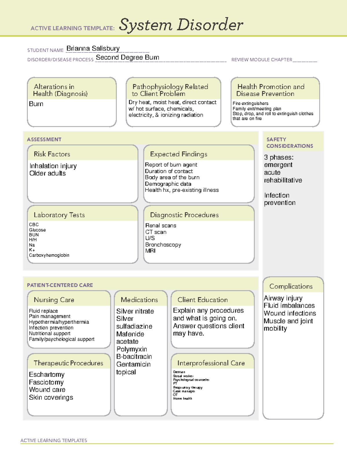 Second degree burn template - NURSB 335 - Studocu