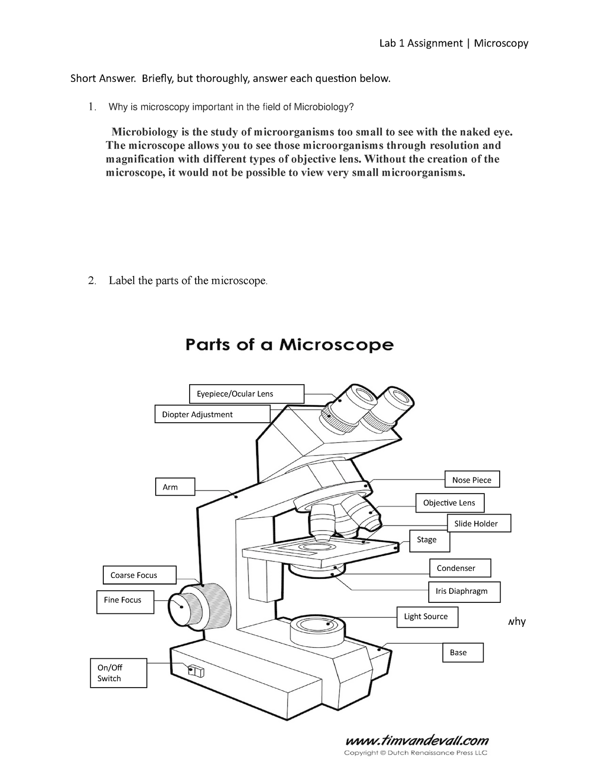 Lab 1 Assignment Microscopy - Lab 1 Assignment | Microscopy Short ...