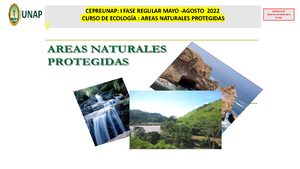 Monografia de Antro Avance - UNIVERSIDAD NACIONAL DE LA AMAZONÍA ...
