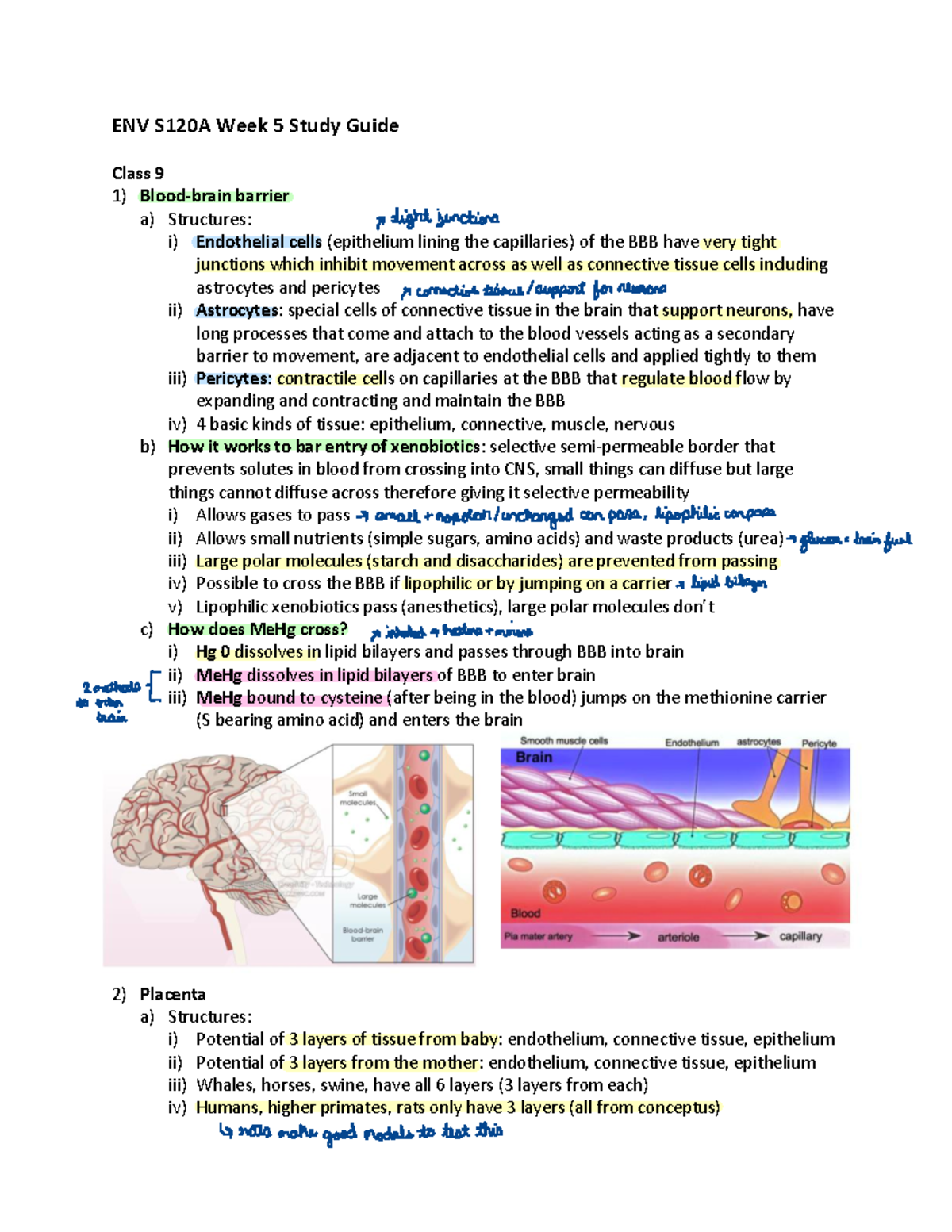 ENV S120A Week 5 Study Guide - A carrier p lipophilic t carrier board ...
