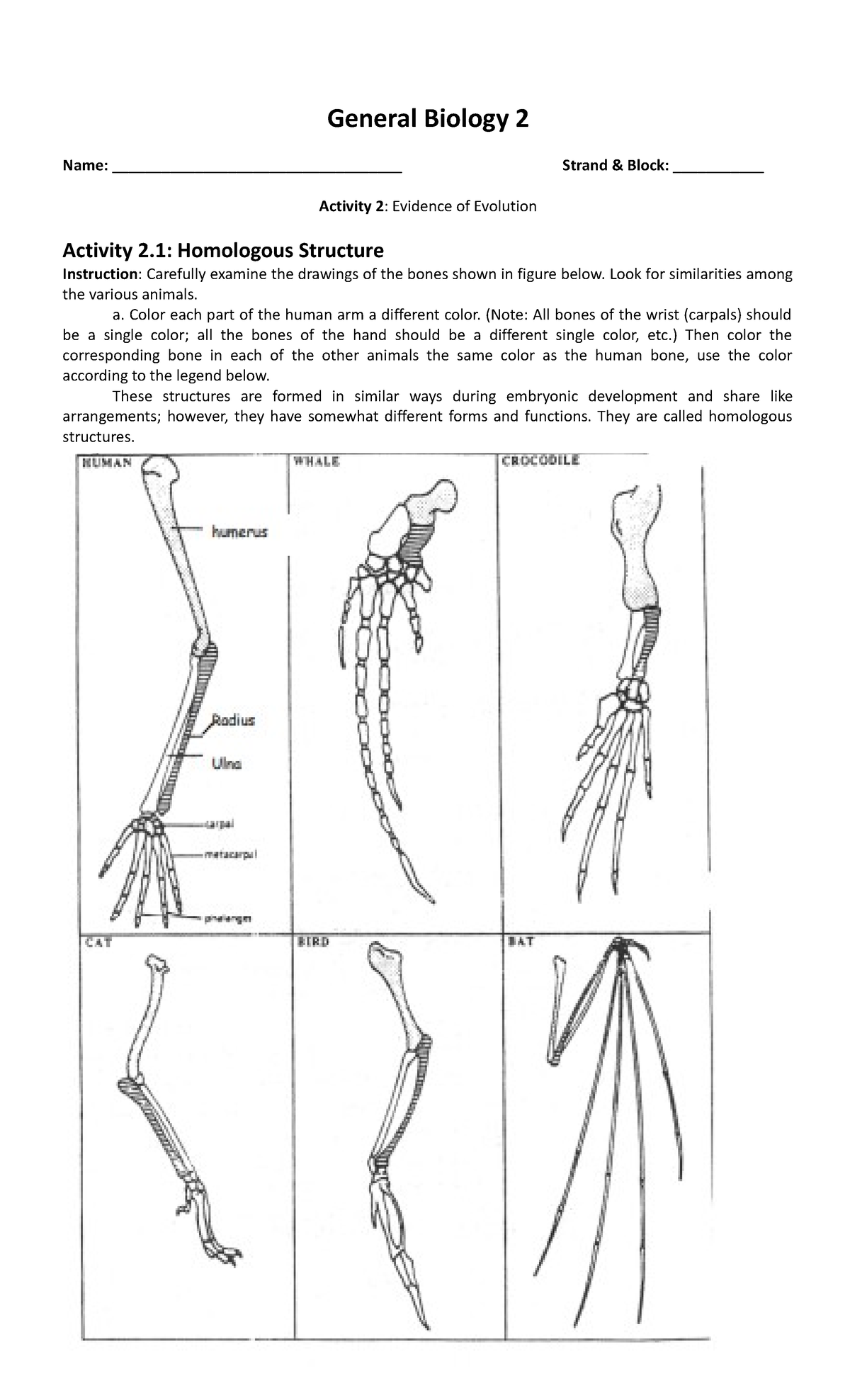 Erika Perales - Activity 2 - General Biology 2 Name ...