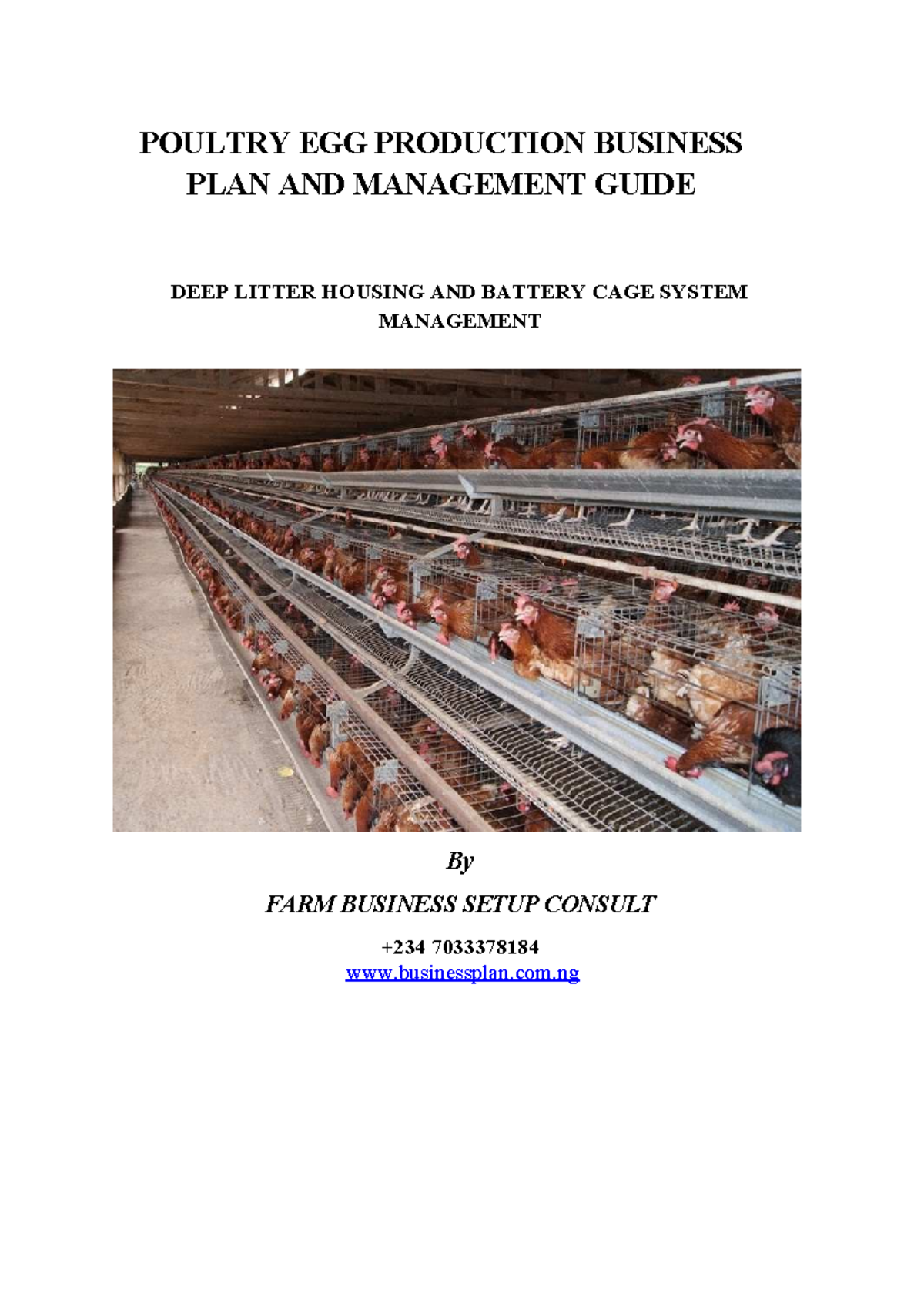 small scale egg production business plan