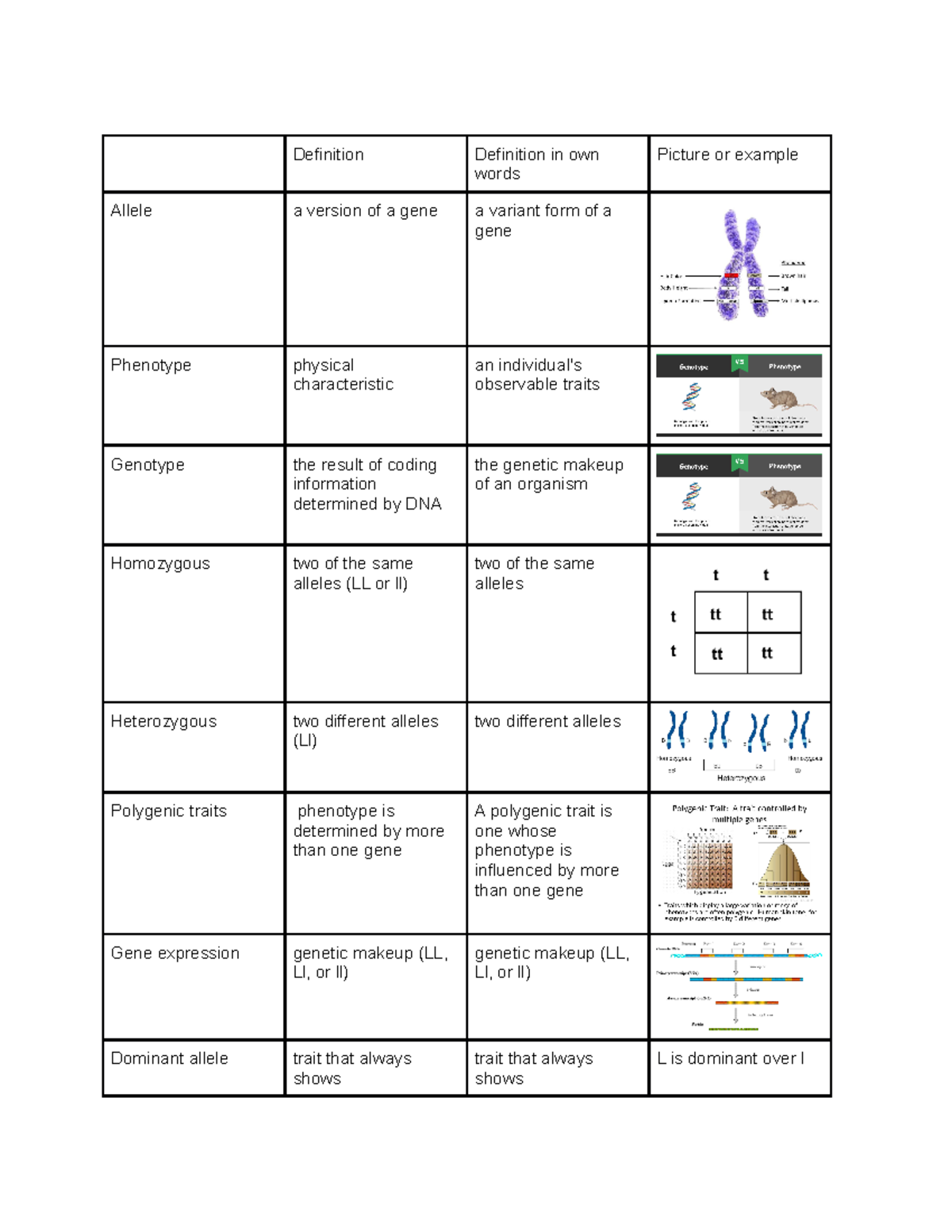 week-10-vocab-kerolos-girgis-definition-definition-in-own-words