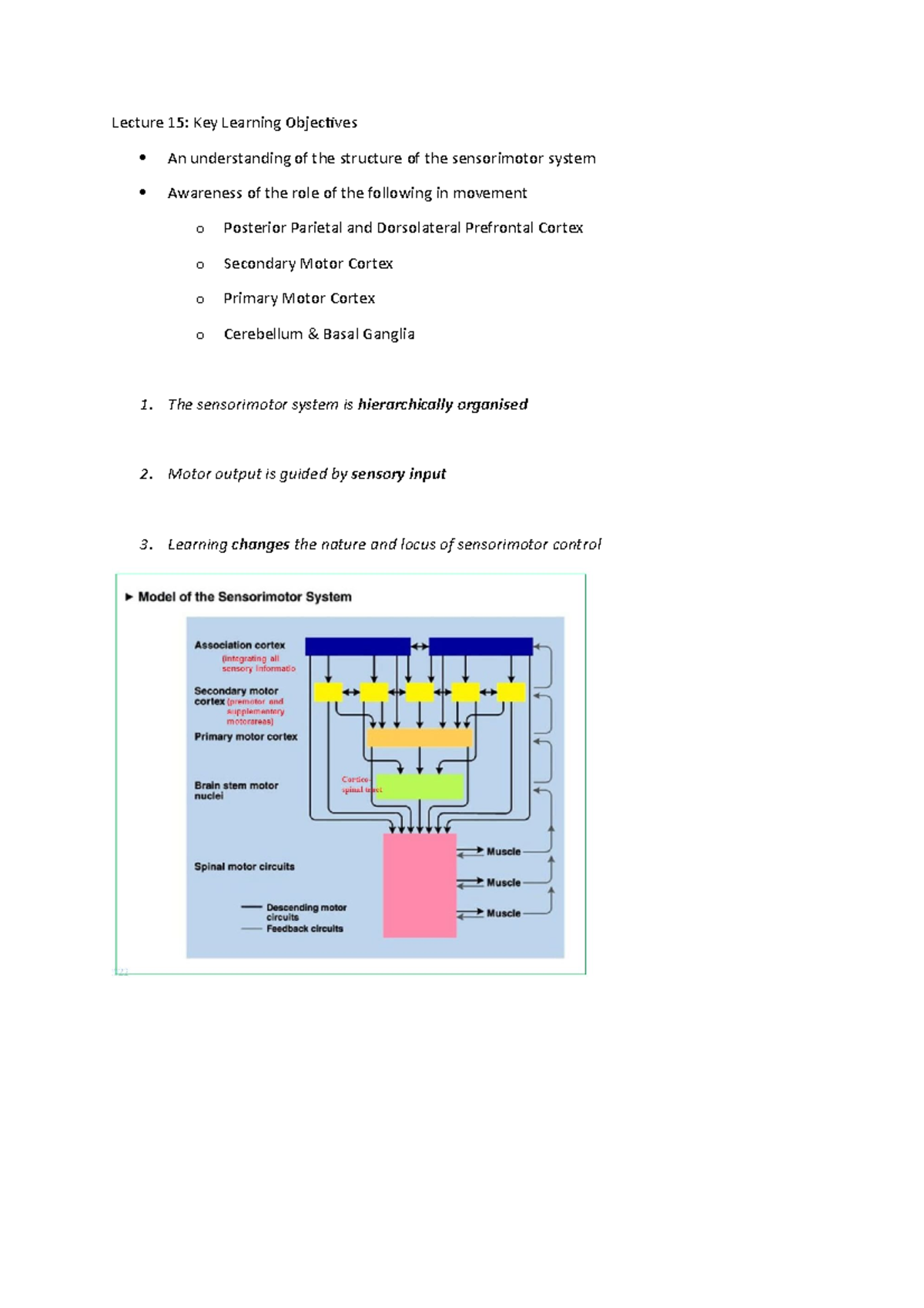 Lecture 15 - Motor Control - Lecture 15: Key Learning Objectives An ...