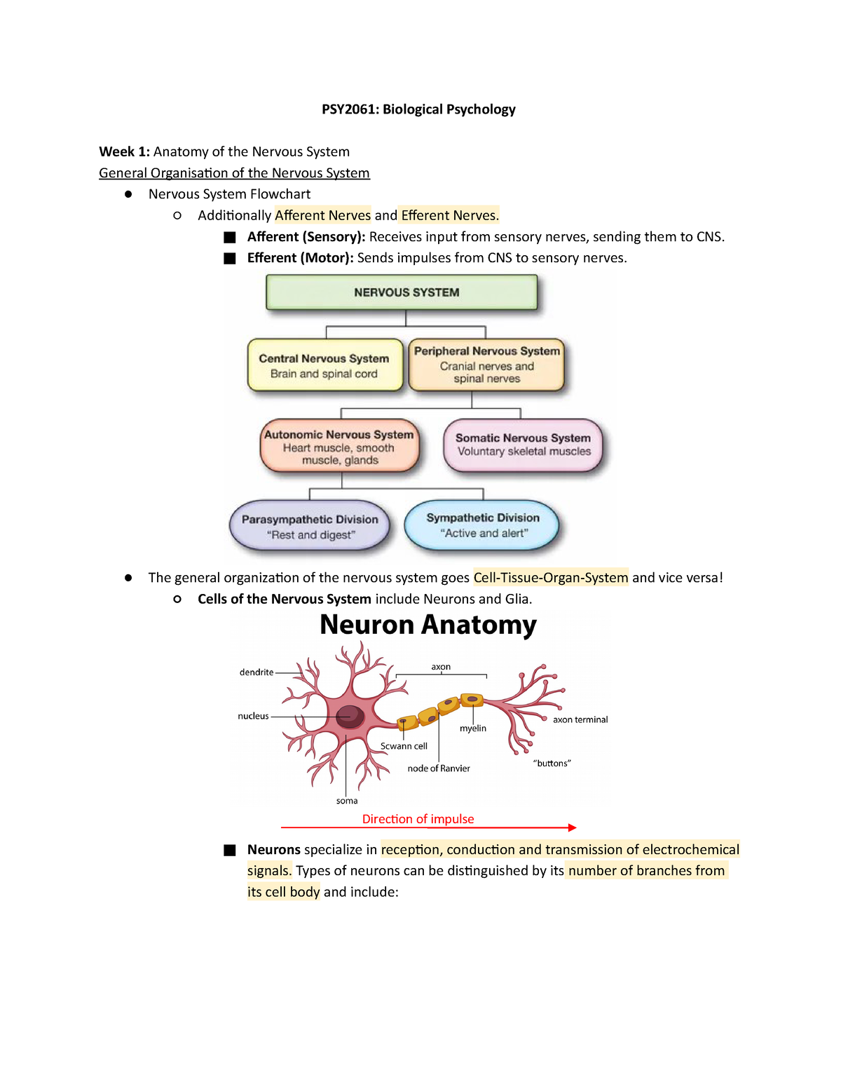 psy2061-w1-recap-notes-for-w1-psy2061-biological-psychology-week-1-anatomy-of-the-nervous