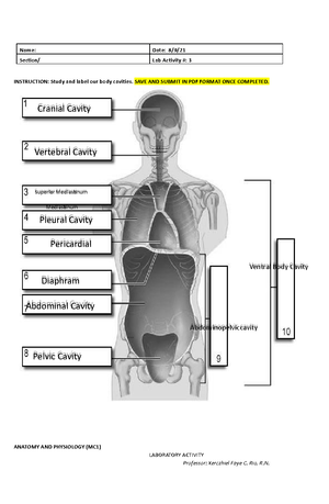 Cell Label - CAPITOL UNIVERSITY College of Nursing Cagayan de Oro City ...