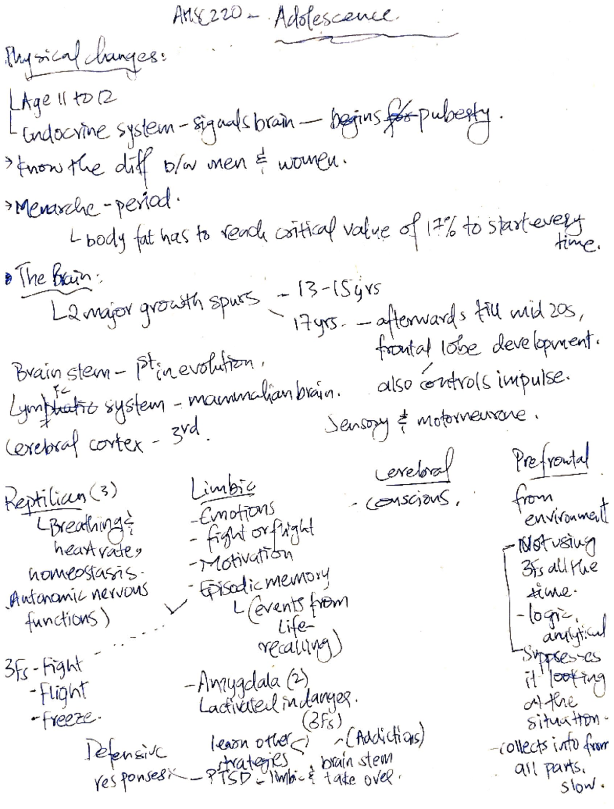 Adolescence part 1 - lecture notes - Physical changes: LAge 11 to 12 ...