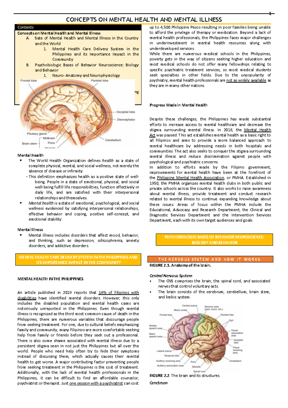 NCM 117 Psychobiologic Bases of Behavior Neuroscience Biology and ...