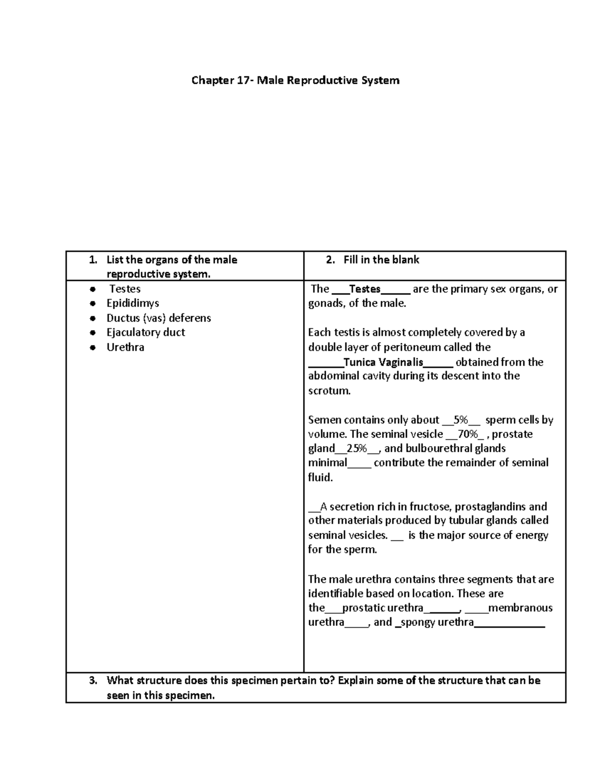 ch-17-male-reproductive-system-ws-chapter-17-male-reproductive