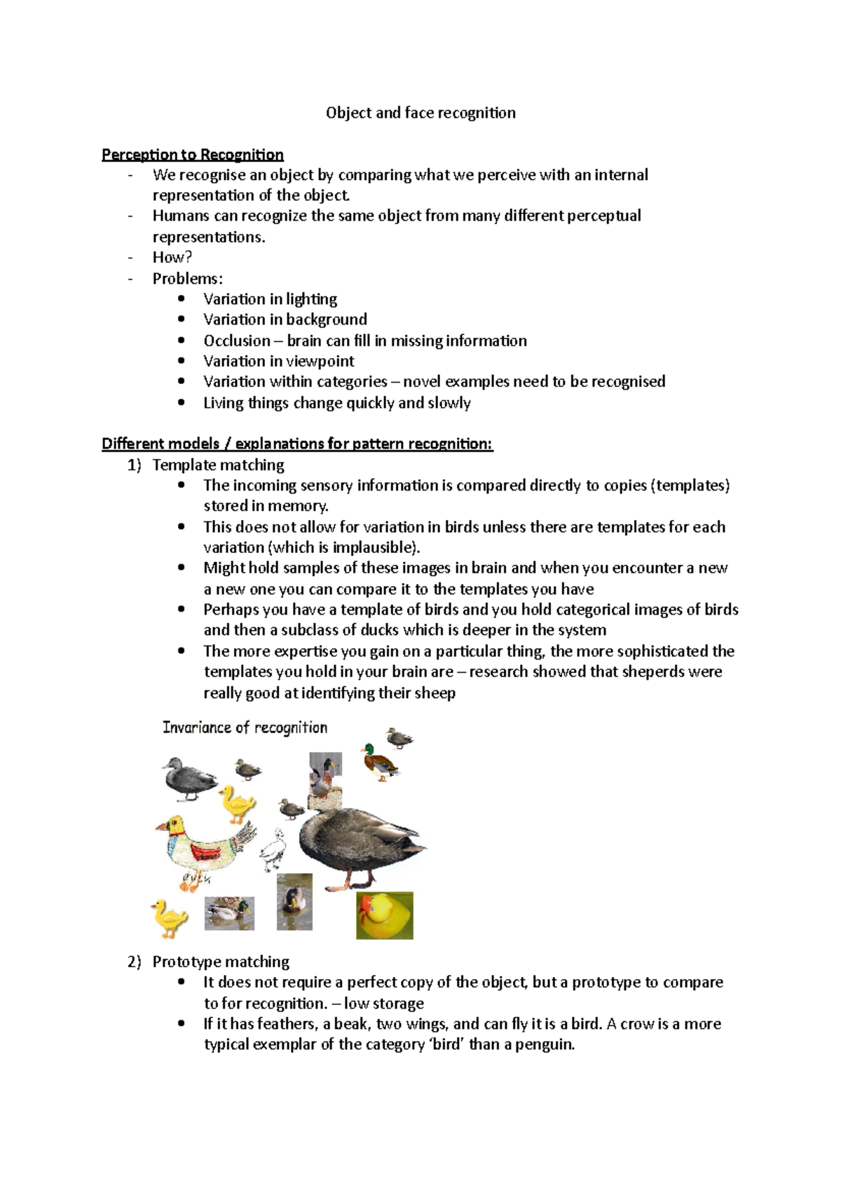 Cognitive Psychology of Object and face recognition - Object and face ...
