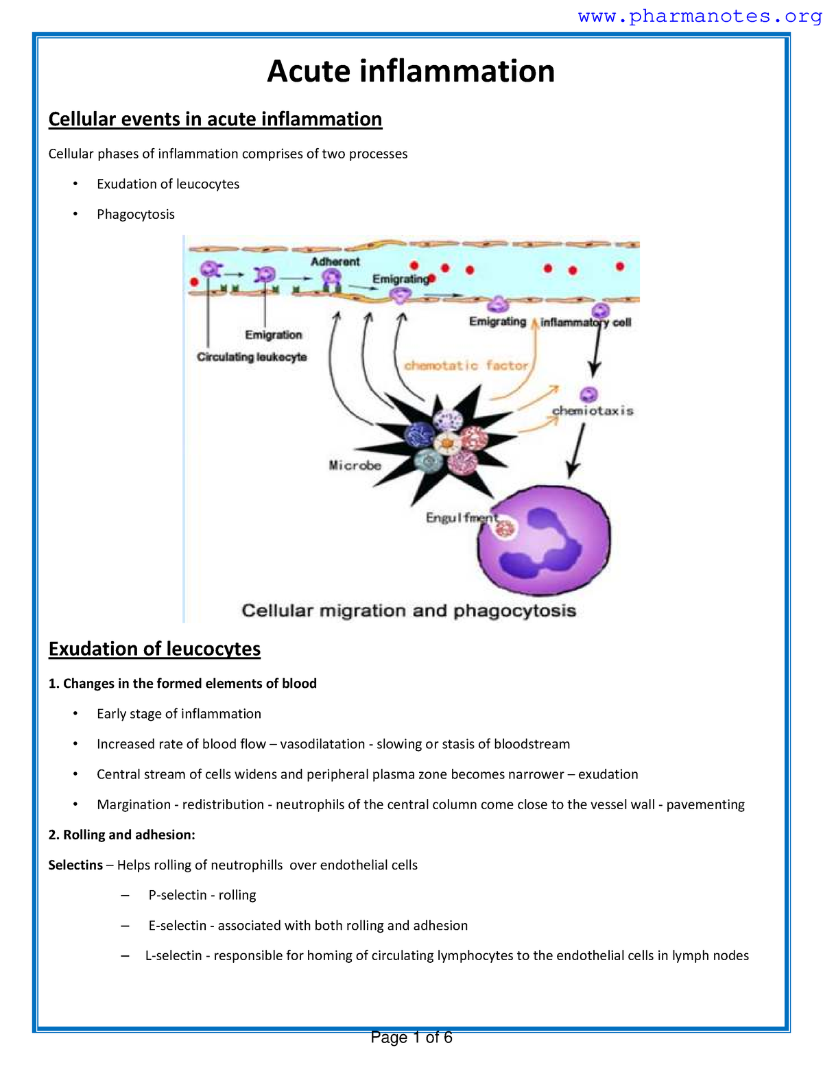 inflammation-acute-cellular-events-acute-inflammation-cellular