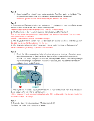 little girl lost a case study on defective organelles