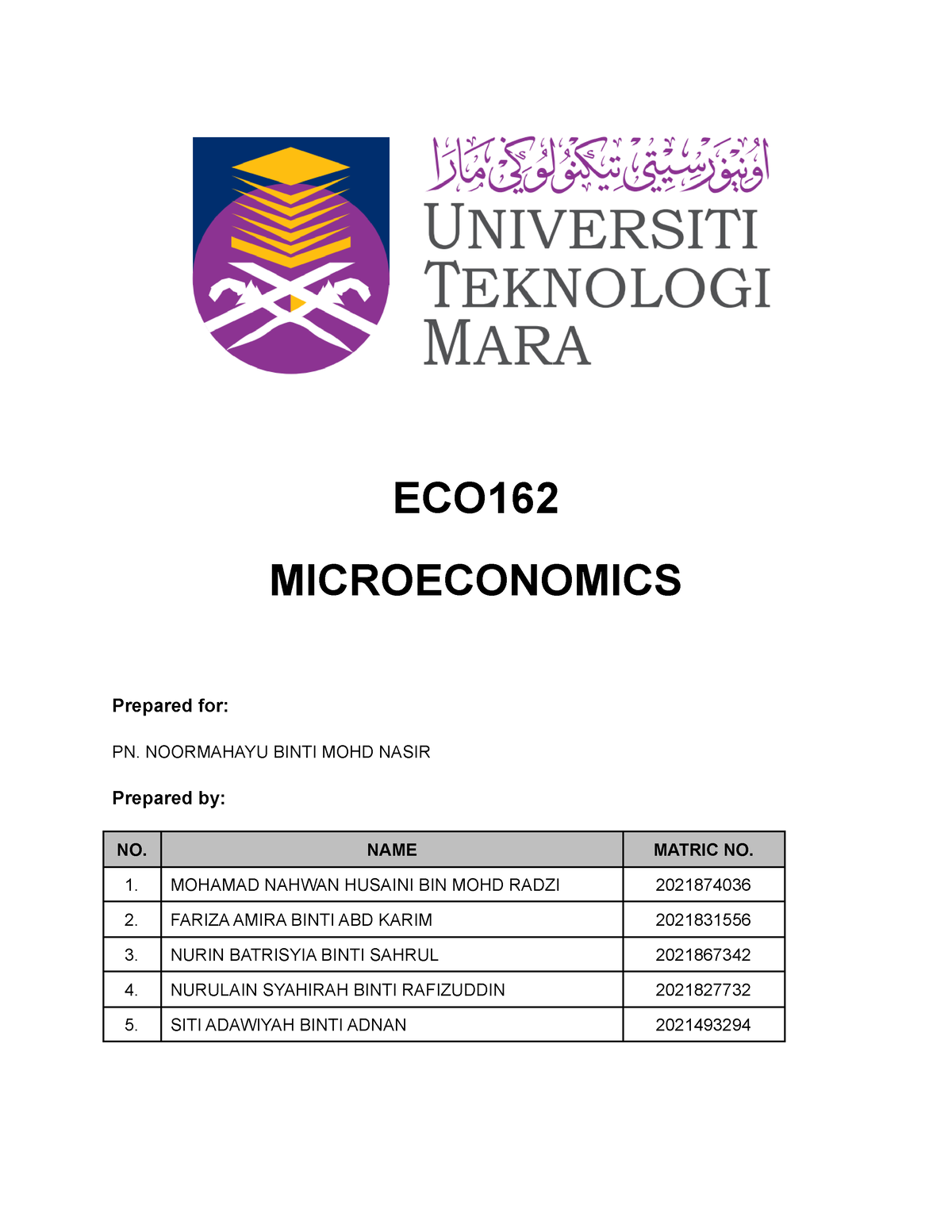 eco162 group assignment market equilibrium