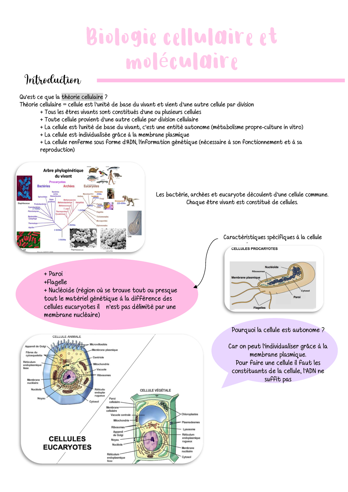 Cours 1 - Véronique Dubreuil - Biologie Cellulaire Et Moléculaire ...