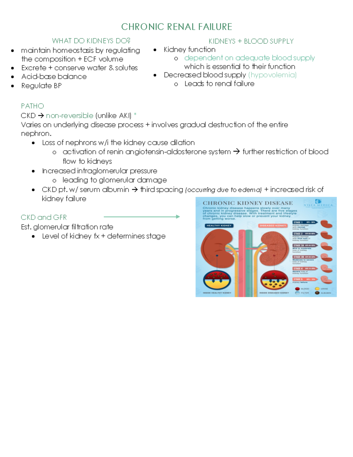 chronic-kidney-disease-study-guide-chronic-renal-failure-patho-ckd