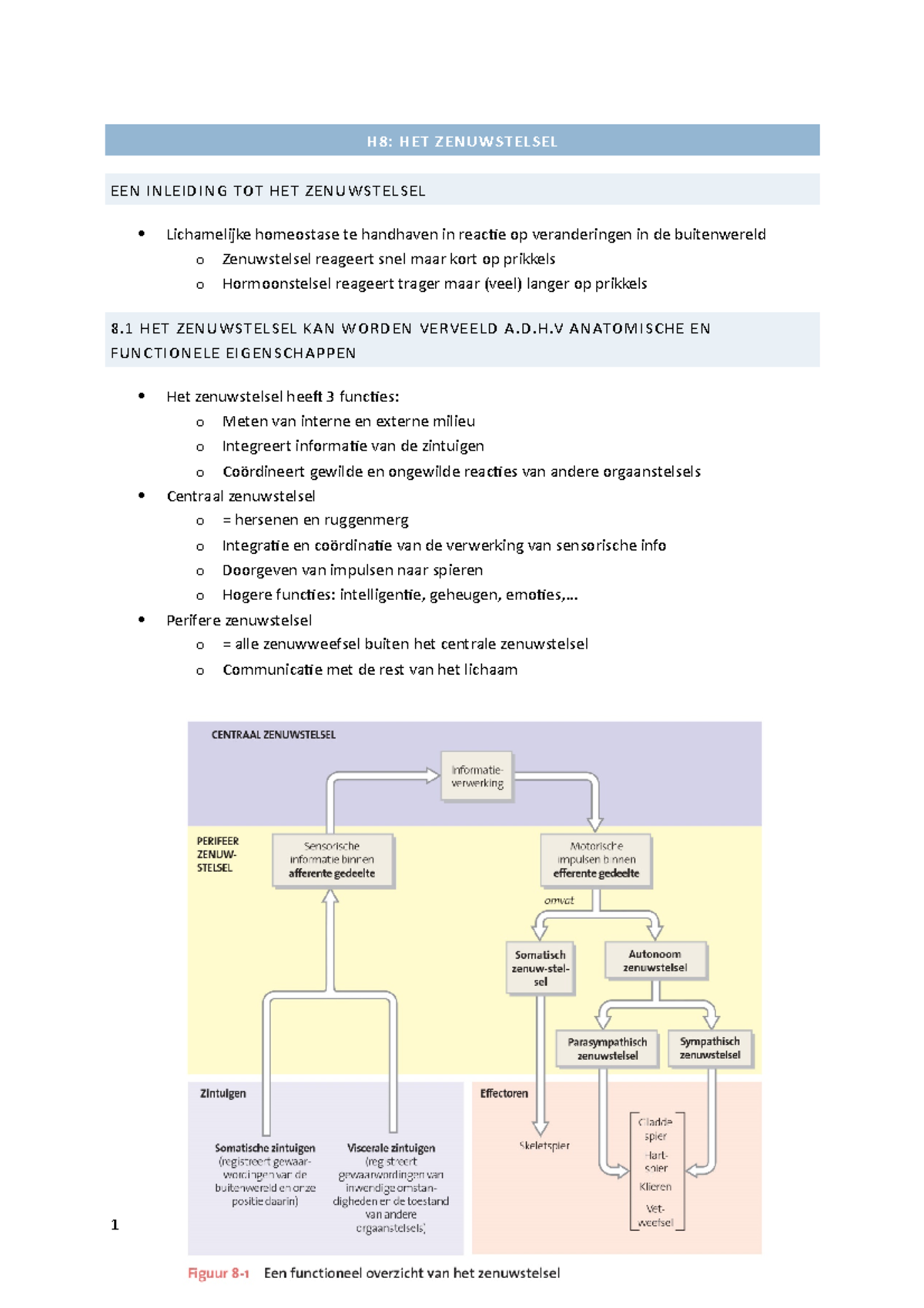 Zenuwstelsel - D.H ANATOMISCHE EN FUNCTIONELE EIGENSCHAPPEN Het ...