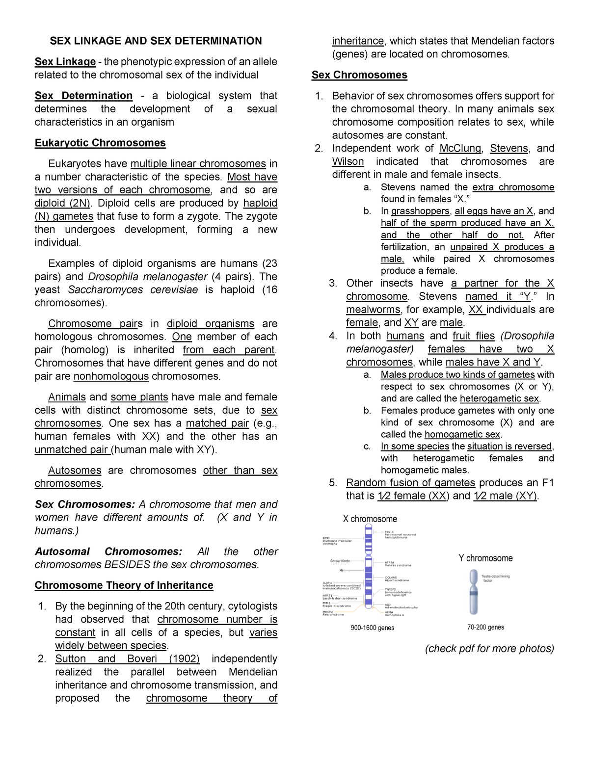 xx xy genetics pdf