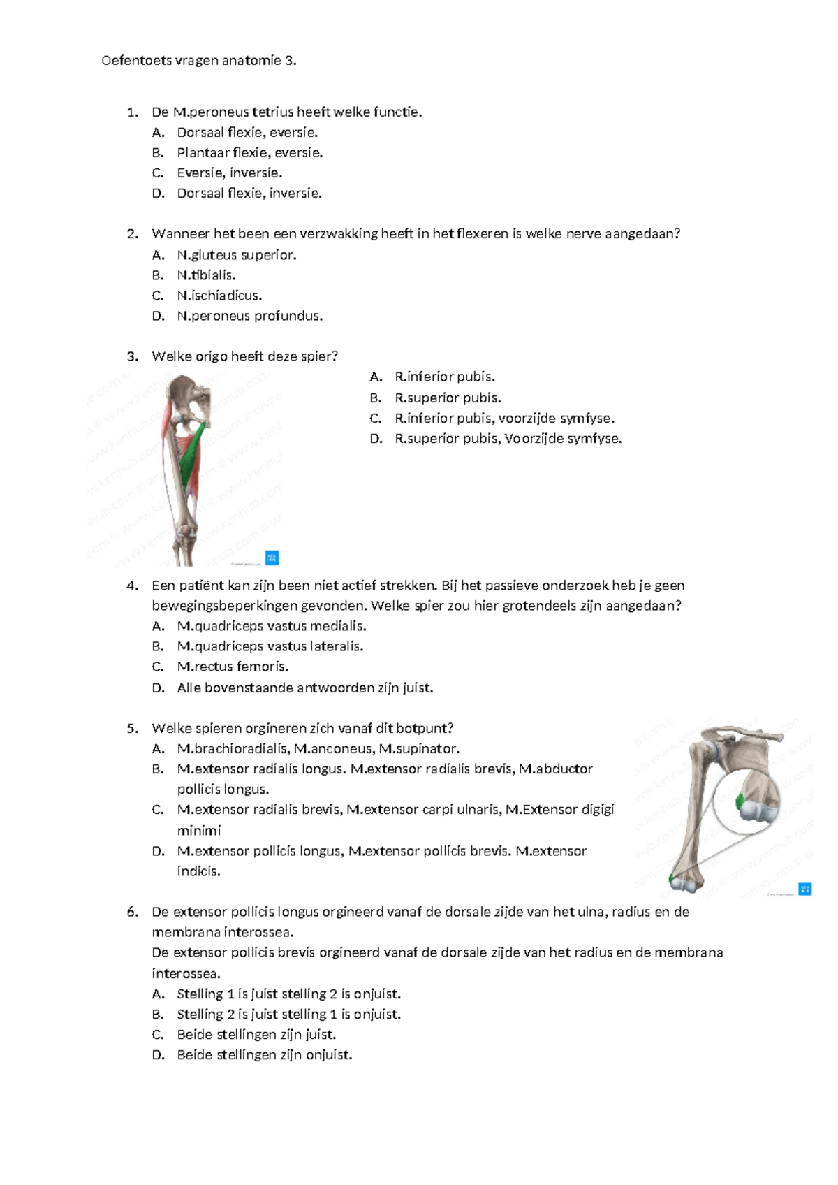 Oefentoets Anatomie 3 - De M Tetrius Heeft Welke Functie. A. Dorsaal ...