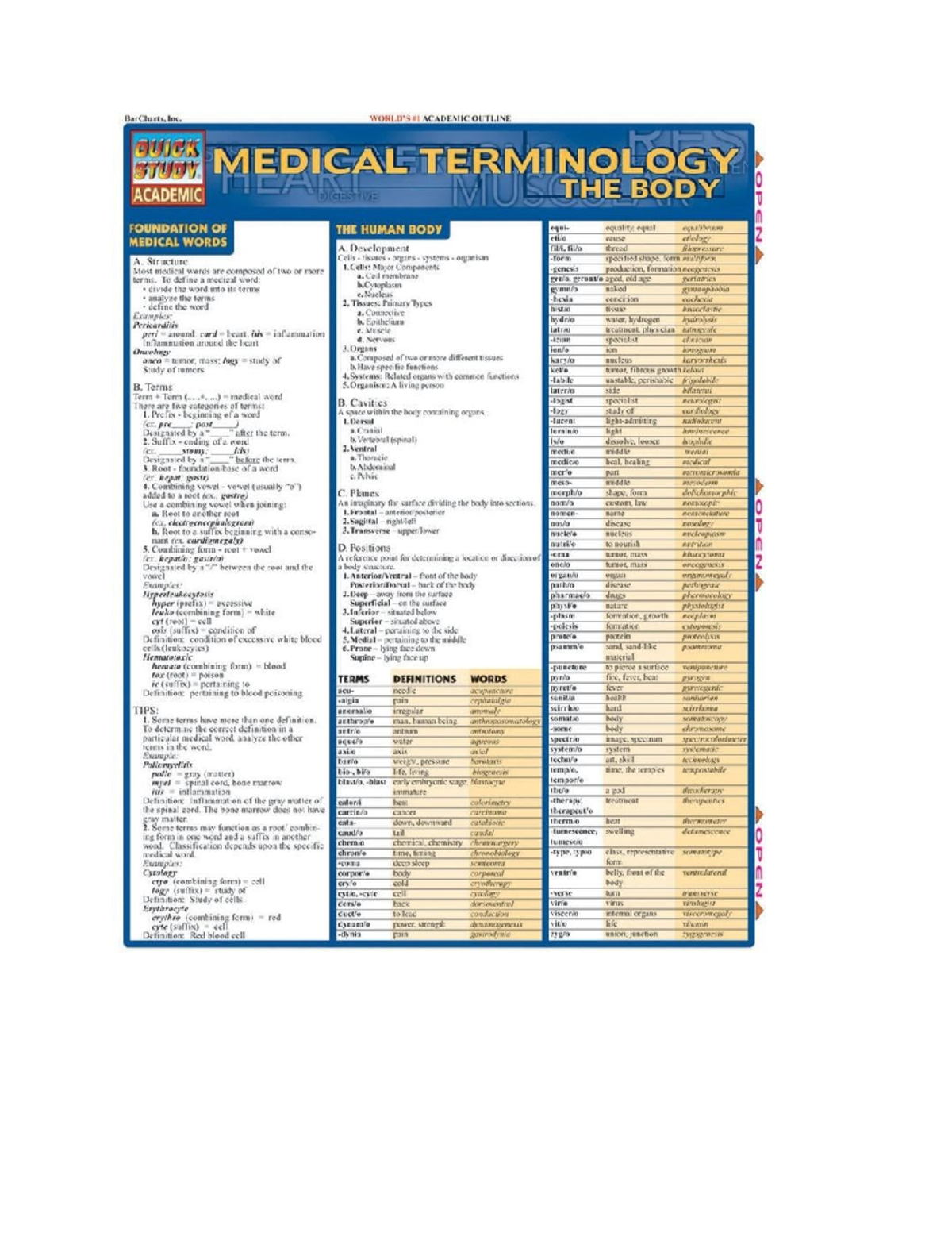 Medical Terminology-5 - BarCharts, Inc. ACADEMIC OUTLINE ...