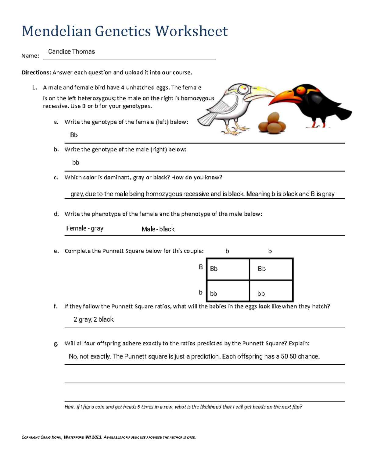 Kami Export - Punnett Square Practice - Worksheet 2 - Mendelian ...