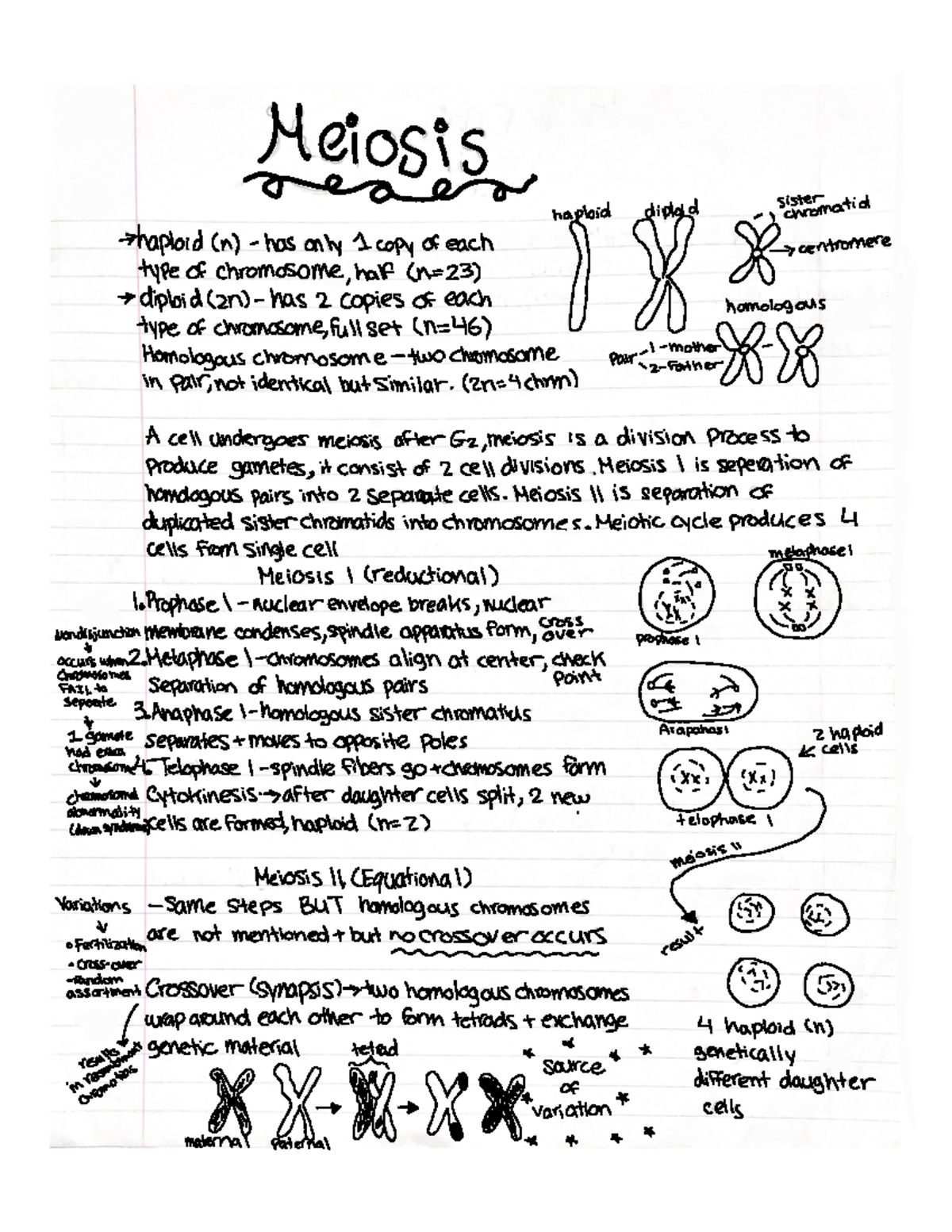 Fiveable Ap Bio Unit 5 - ng89mye