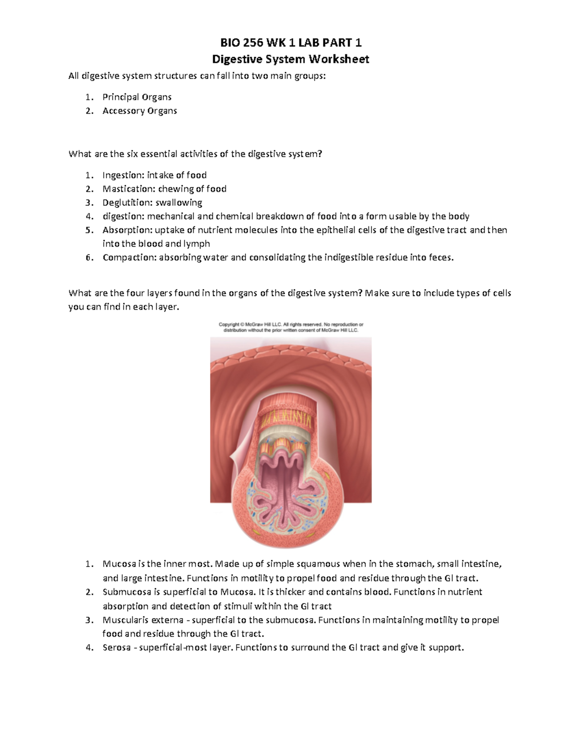 Part 1 Lab - Week 1 Lab Pt 2 - BIO 256 WK 1 LAB PART 1 Digestive System ...