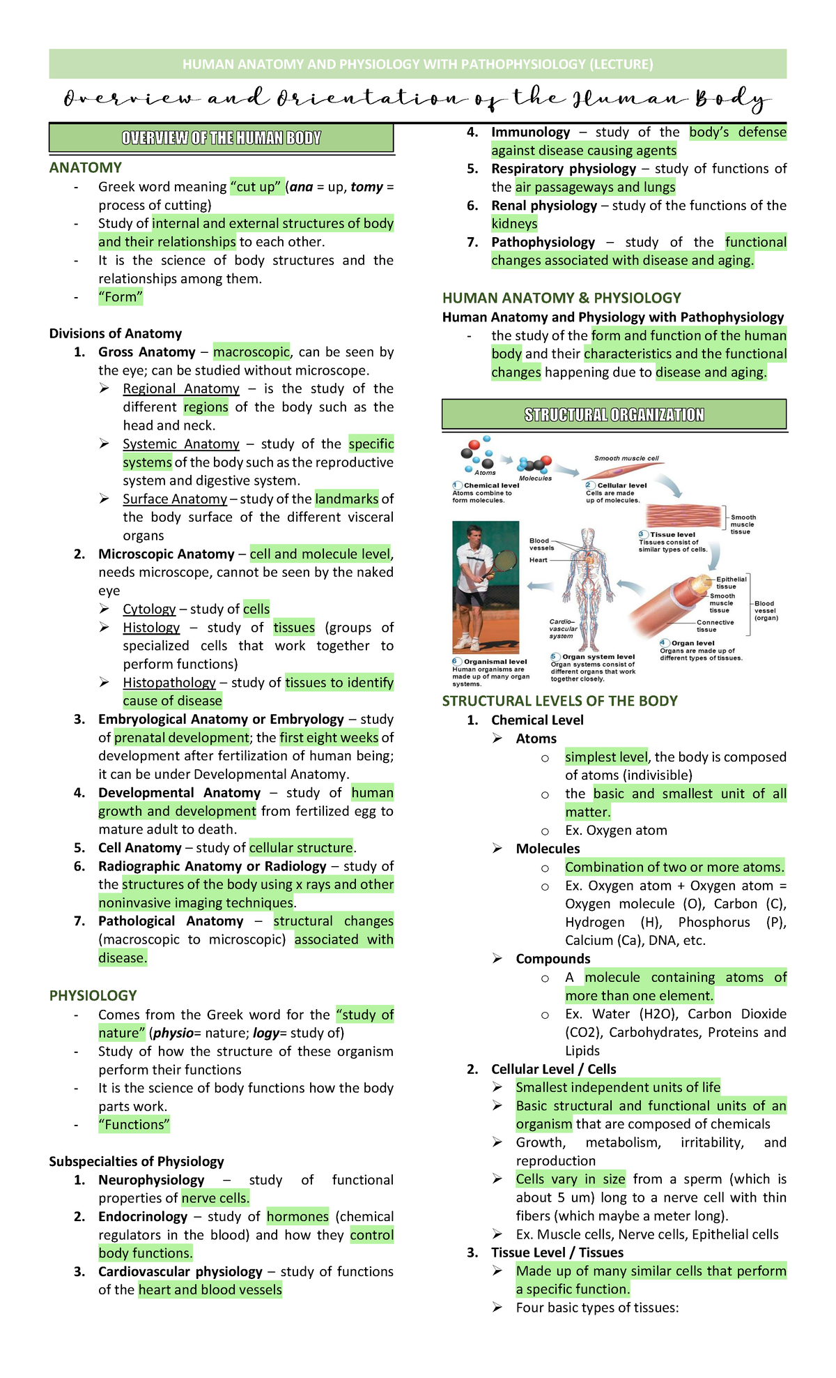 (Lecture 1) Overview And Orientation Of The Human Body - ANATOMY Greek ...