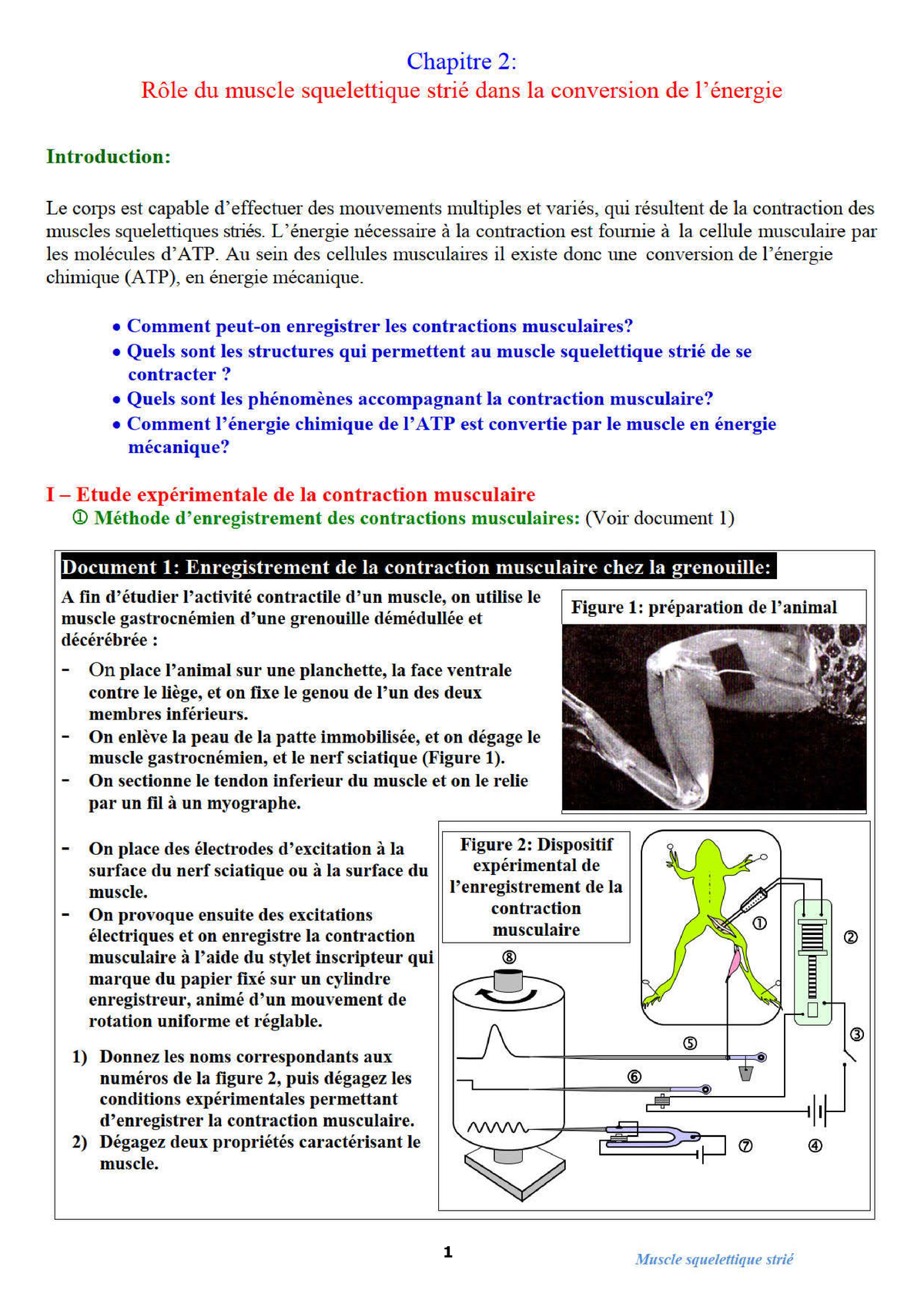 2ème-Bac-SVT-Biof-1er-Semestre Muscle Striée - Azert - Studocu