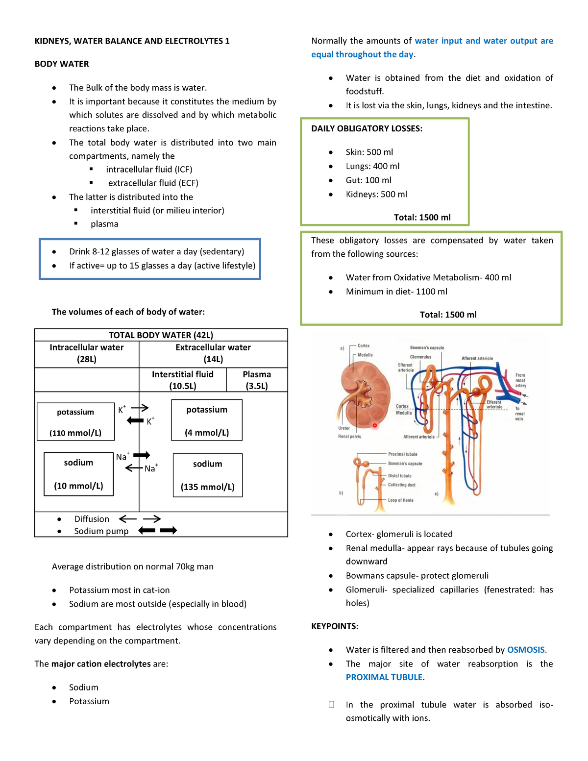 CC2- Lecture- Transes - KIDNEYS, WATER BALANCE AND ELECTROLYTES 1 BODY ...