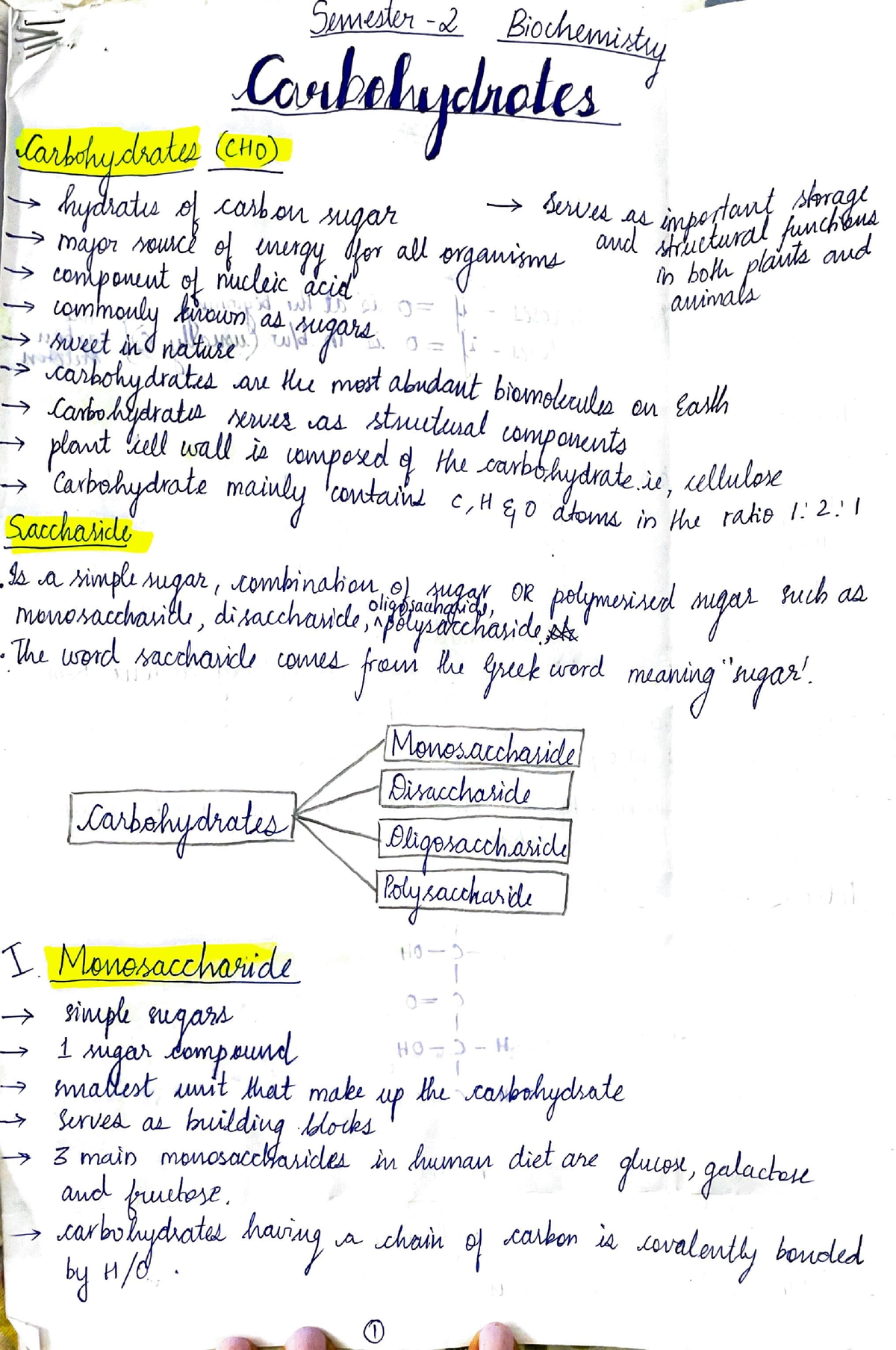 biochemistry essay questions and answers on carbohydrates pdf