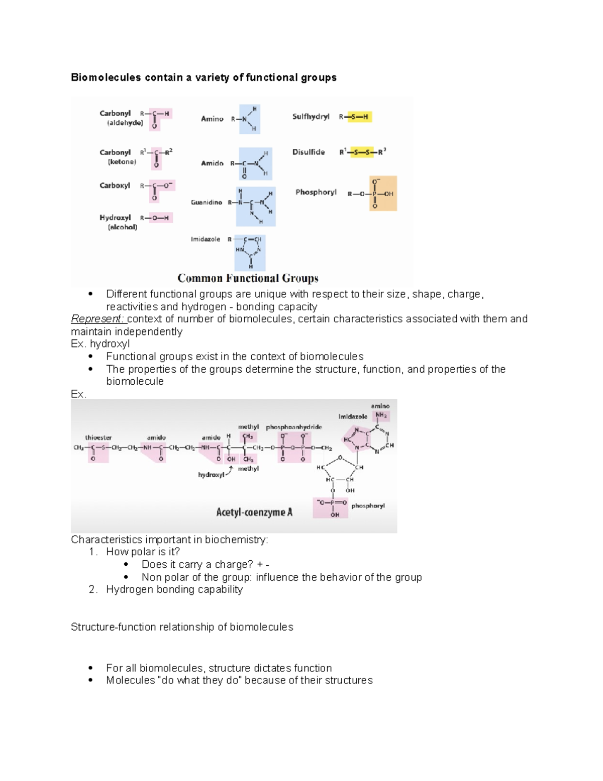 200 - New Notes - Biomolecules Contain A Variety Of Functional Groups ...