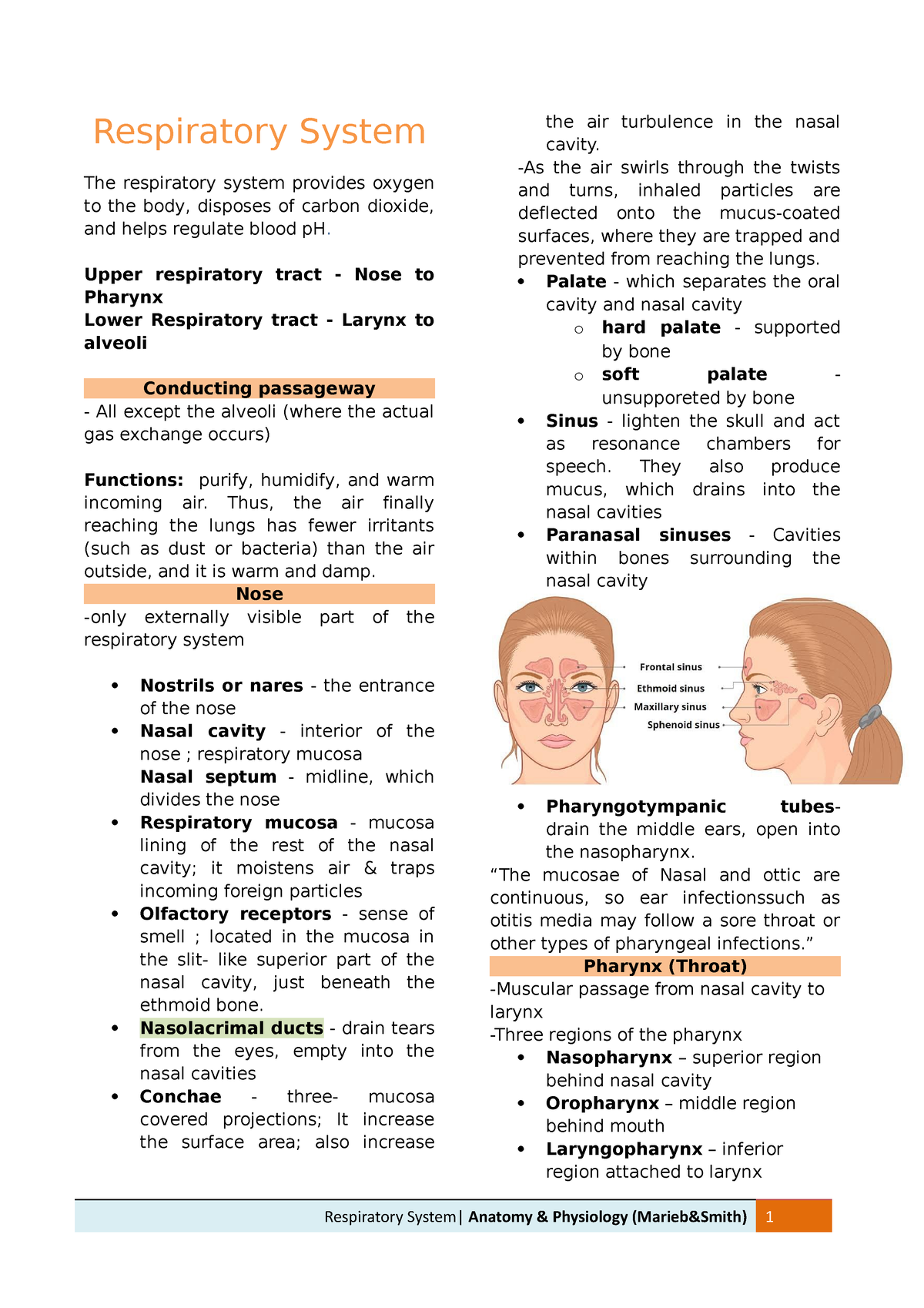 Respiratory System-trans-marieb - Respiratory System The Respiratory ...