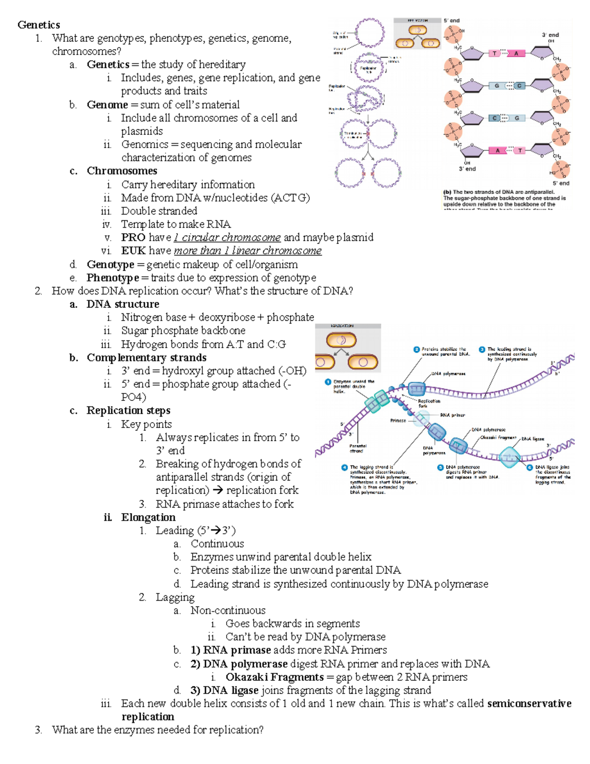 Biol 246 Exam 2 Study Guide - Genetics 1. What Are Genotypes ...