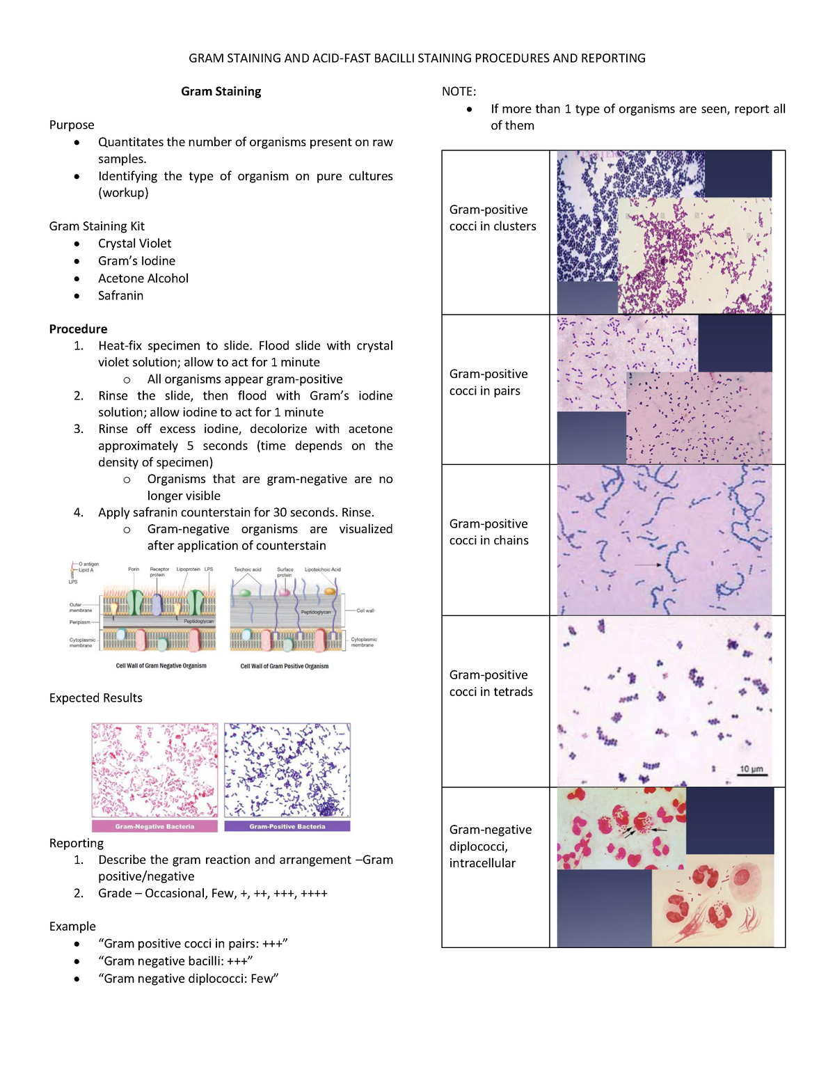 Gram Staining Afb Staining Gram Staining And Acid Fast Bacilli Staining Procedures And 9980