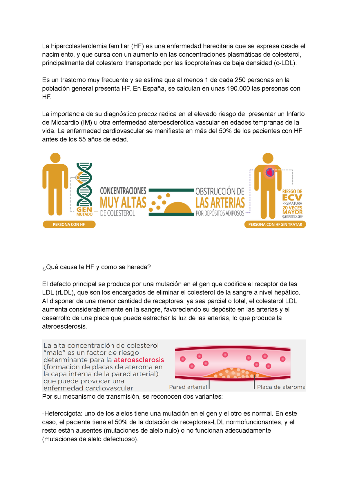 Hipercolesterolemia Familiar - Blog Mendelics