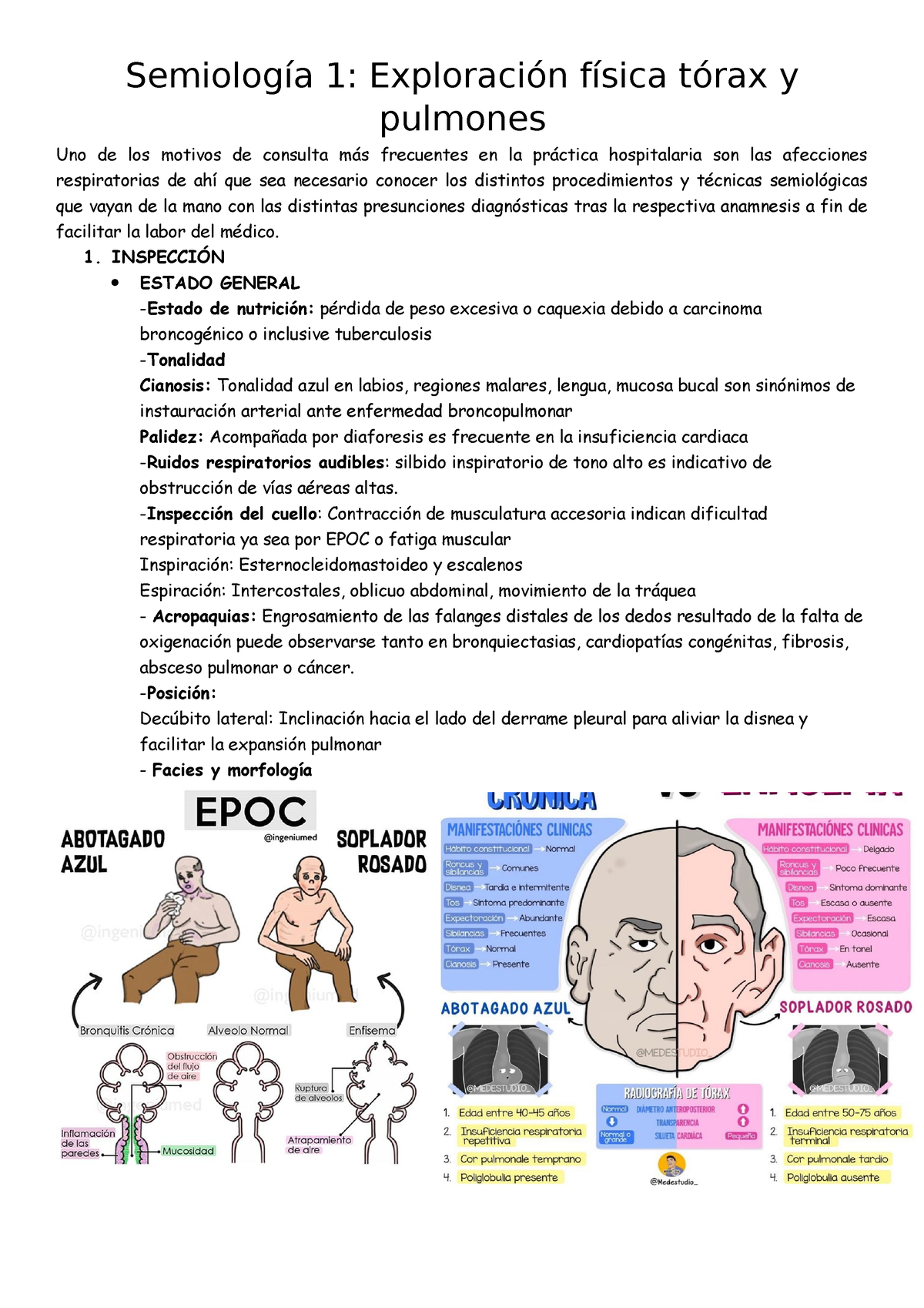 Semiología 1 Reusmen Torax Semiología 1 Exploración Física Tórax Y