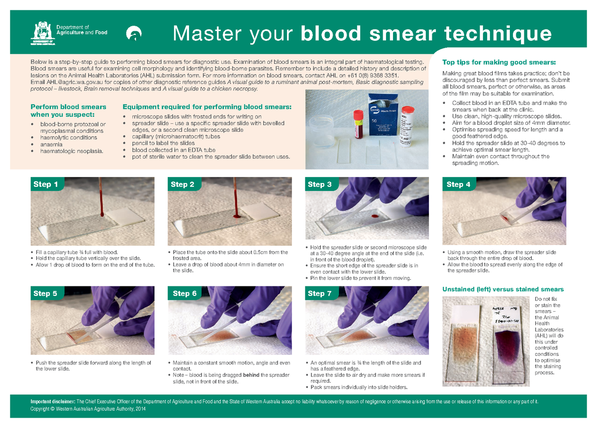 Master Your Blood Smear Technique - Department Of Agriculture And Food ...