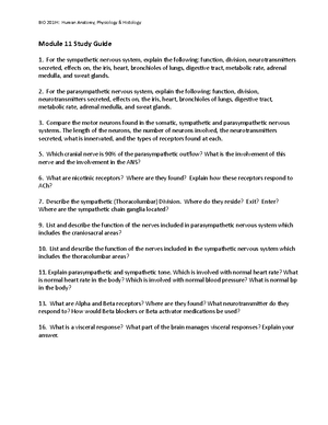 02 Chpt 12 Exam Study Guide Central Nervous System - Chapter 12 Study ...