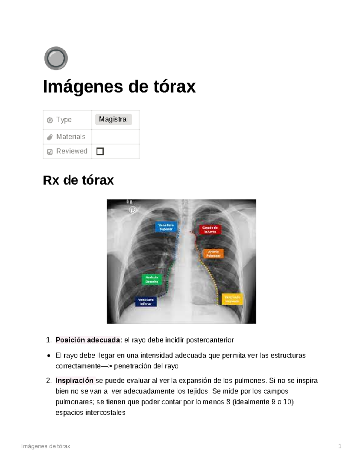 Imgenes de torax - ................................... - 🔘 Imágenes de ...