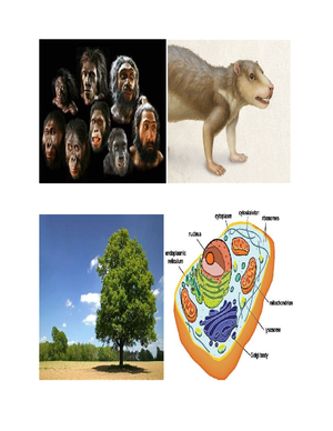 Erica - Ghjj - A biological system is a group of entities or organs ...