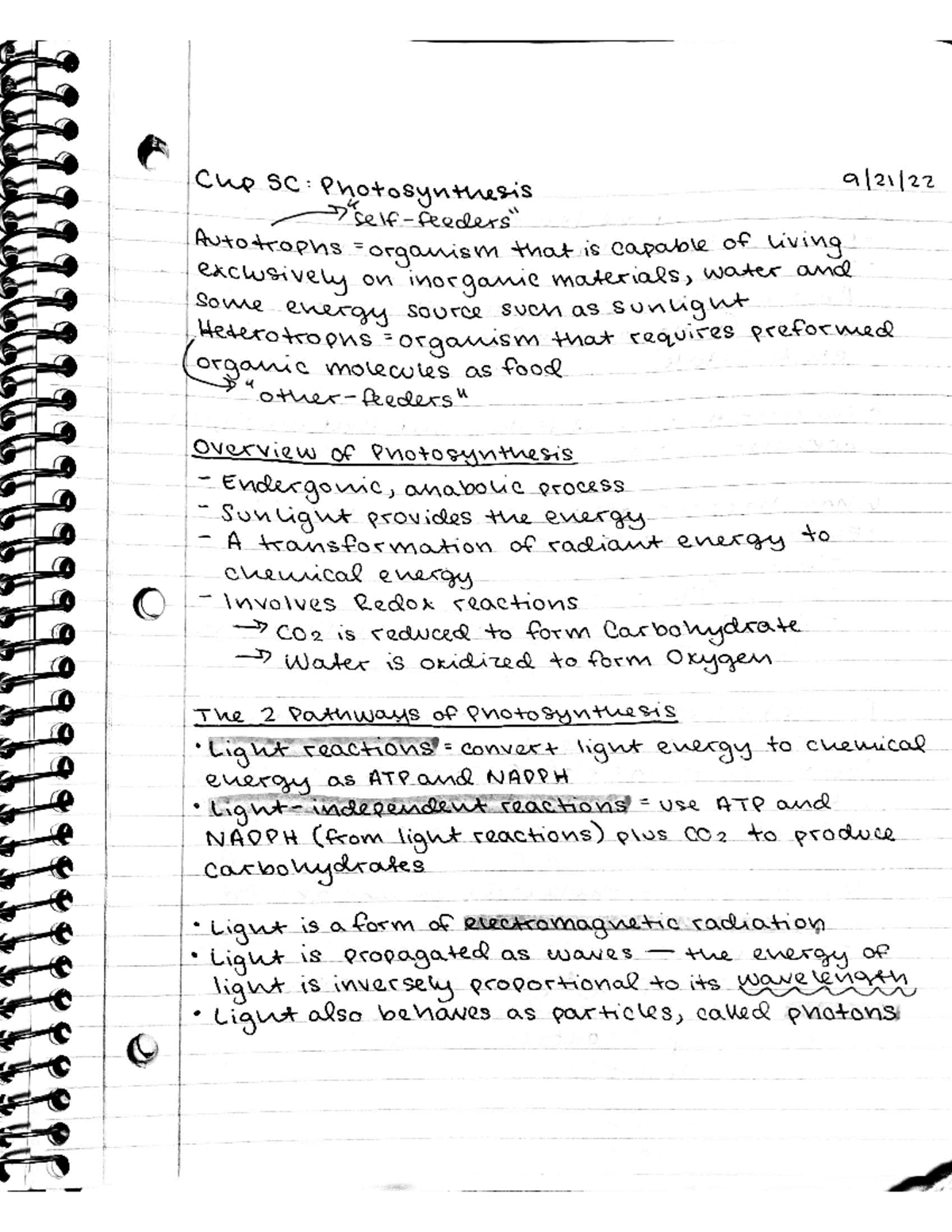 Chapter 5C Notes - BIOL14110AAA - Studocu