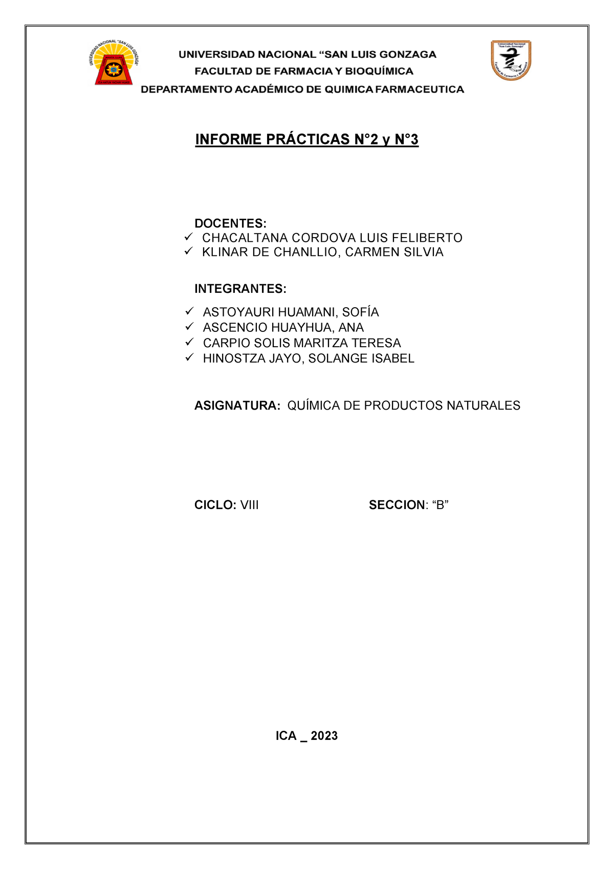 informe-practicas-2-y-3-informe-pr-cticas-n-2-y-n-docentes