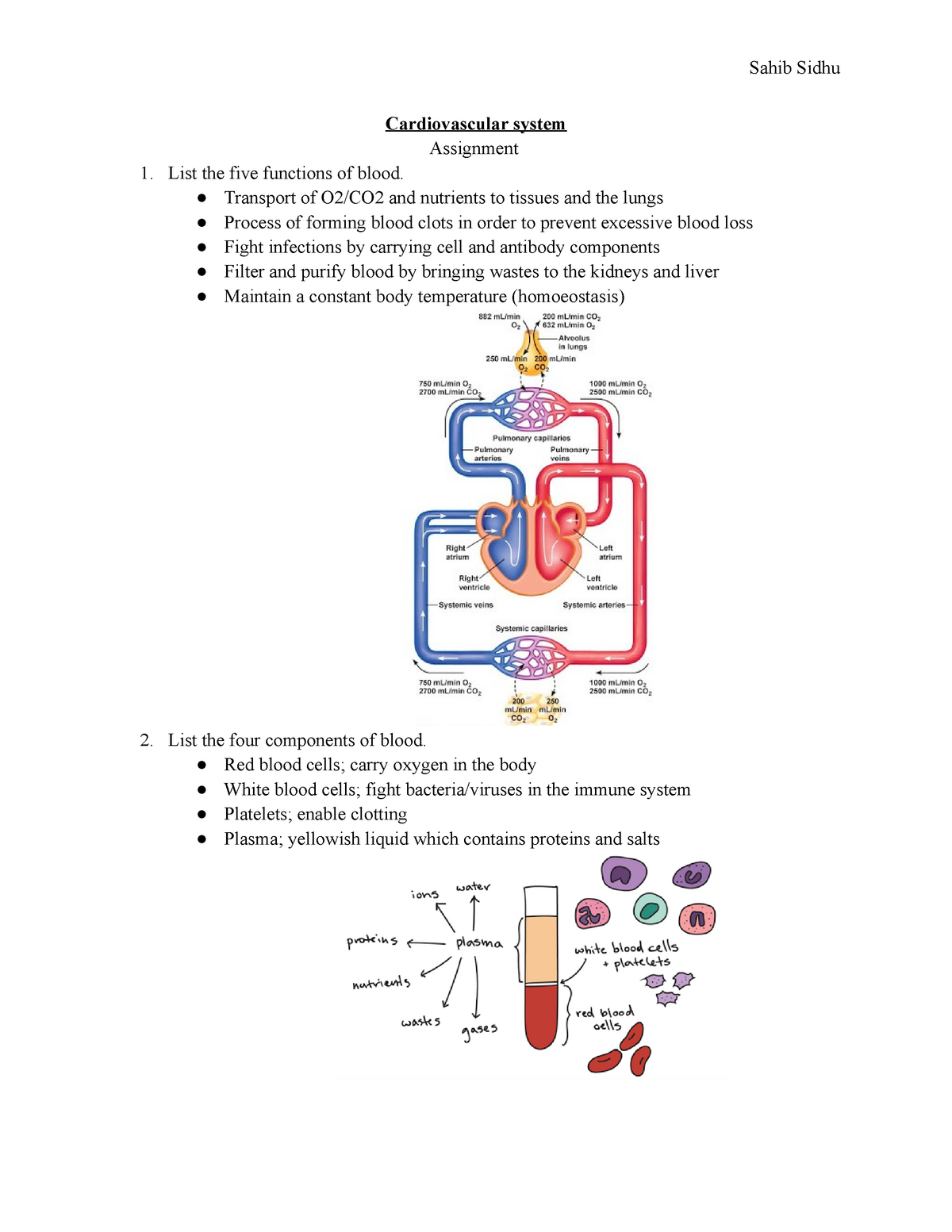 cardiovascular system assignment slideshare