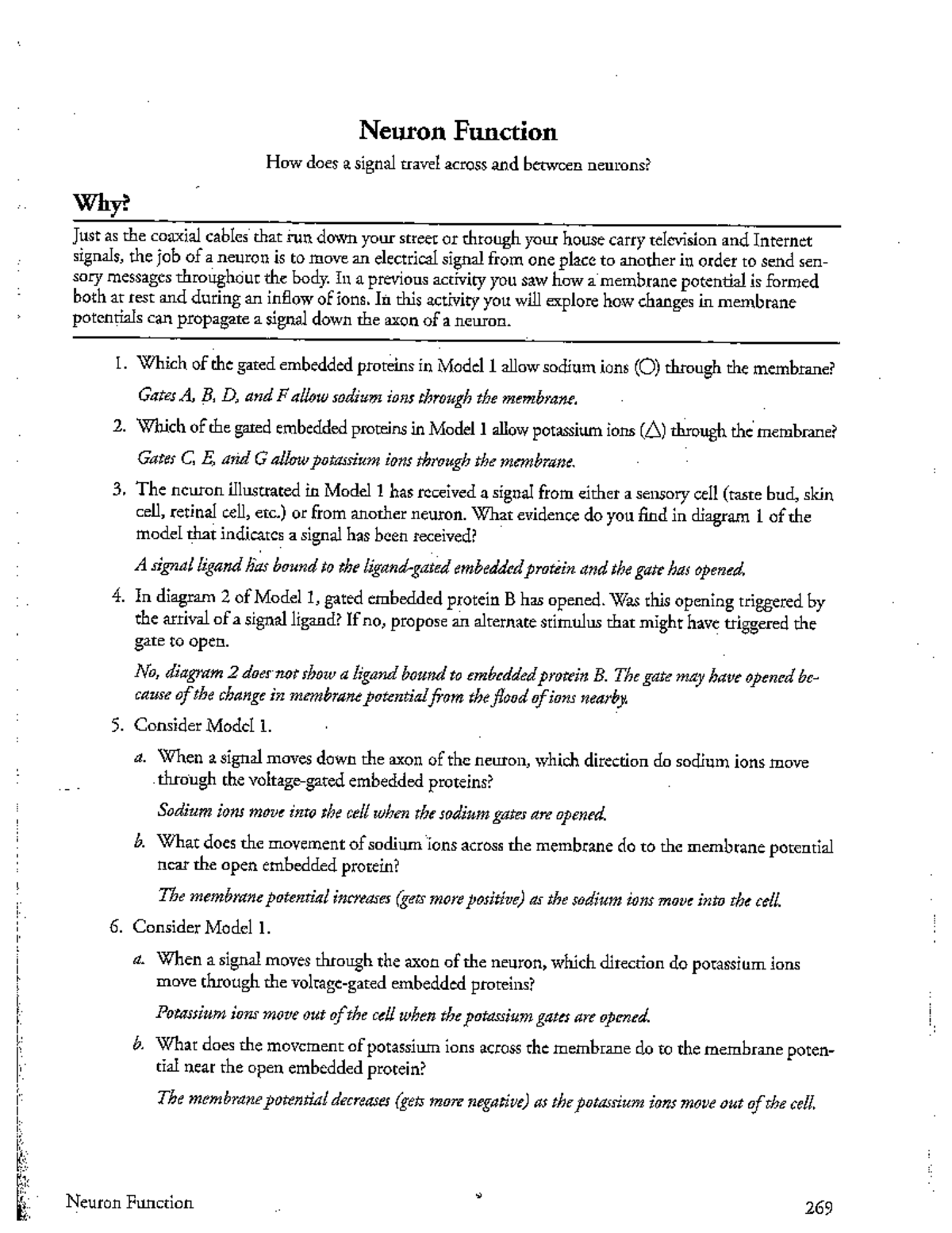 Neuron function - Apple - Neuron Function How does a signal travel ...