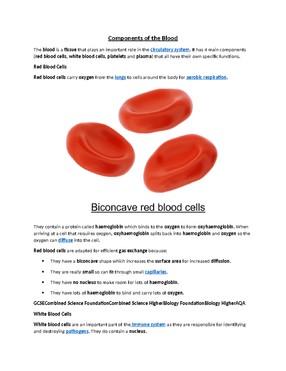 Components of the Blood - It has 4 main components (red blood cells ...