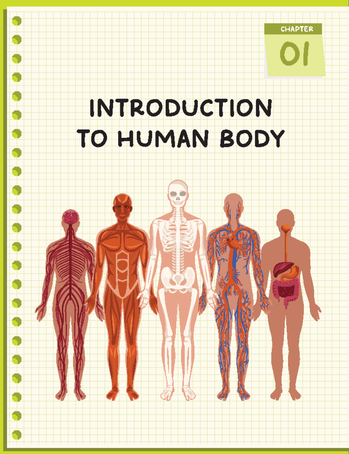 [@ Urstrulyrm] Introduction TO Human BODY - INTRODUCTION TO HUMAN BODY ...