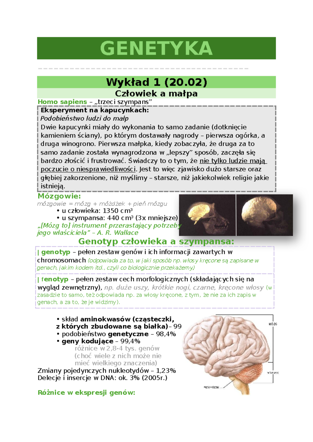 Genetyka - GENETYKA - Wykład 1 (20) Człowiek A Małpa Homo Sapiens ...