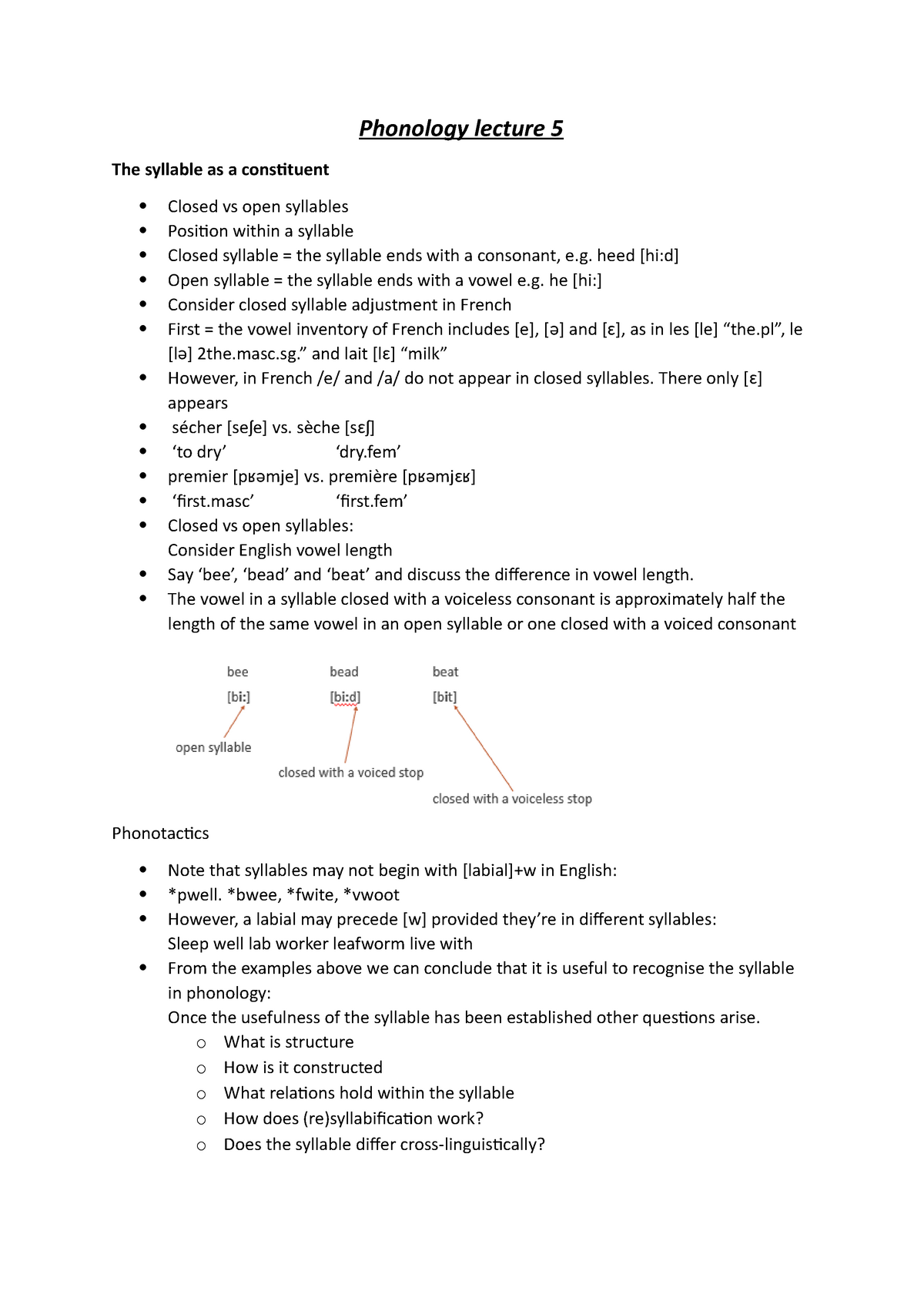 lecture-5-syllables-phonology-lecture-5-the-syllable-as-a